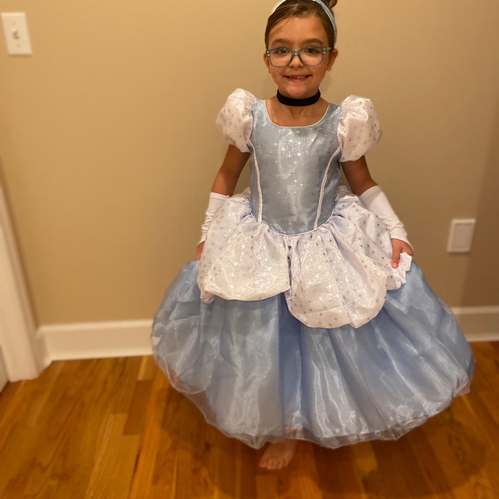 Cinderella costume. Dress only.